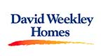 David Weekley homes in Mount Pleasant 1 1 1