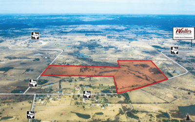 Harris Waller County, TX